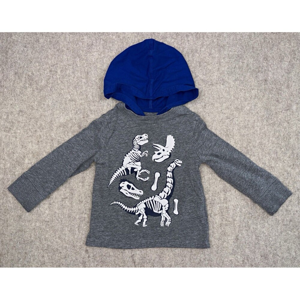 The Children's Place Boys 12-18M Gray Blue Long Sleeve Dino Graphic Hooded Shirt